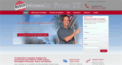 Desktop Screenshot of buschconsulting.com